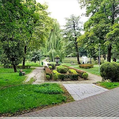Sportowy Osir